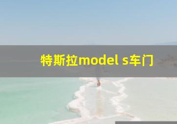 特斯拉model s车门